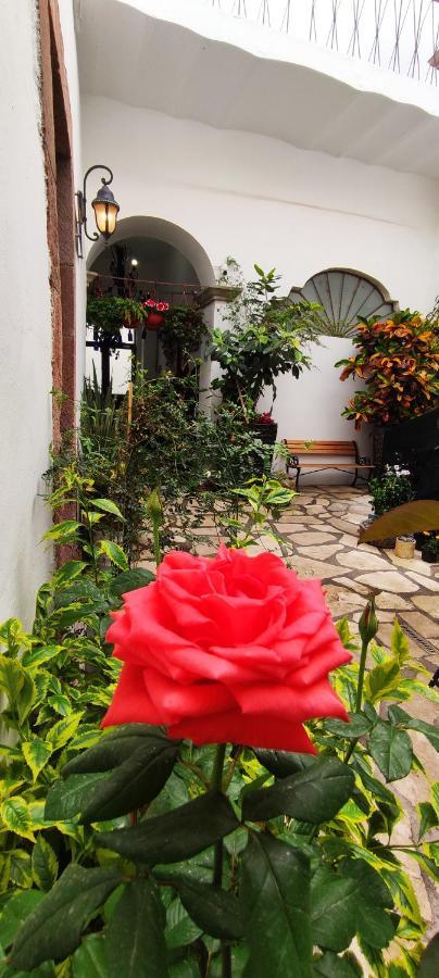 El Jardin De La Abuela Hotel Querétaro Eksteriør billede