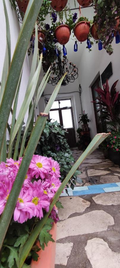 El Jardin De La Abuela Hotel Querétaro Eksteriør billede