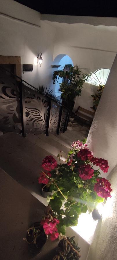 El Jardin De La Abuela Hotel Querétaro Eksteriør billede